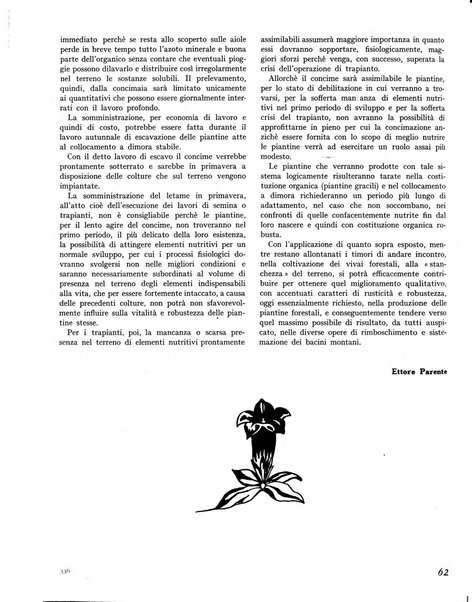 La rivista forestale italiana