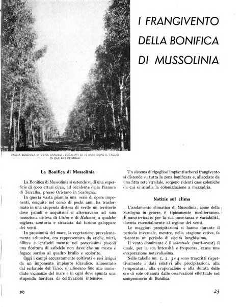 La rivista forestale italiana