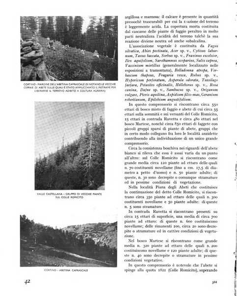 La rivista forestale italiana