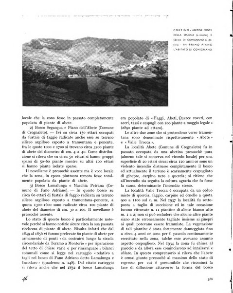 La rivista forestale italiana