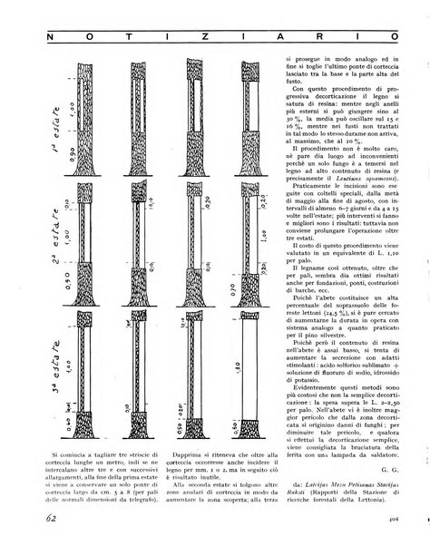 La rivista forestale italiana