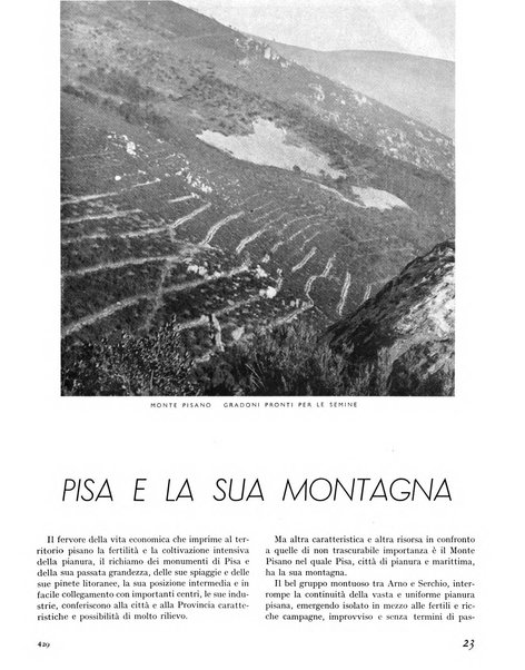 La rivista forestale italiana