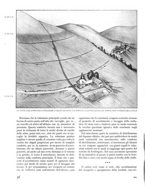 La rivista forestale italiana