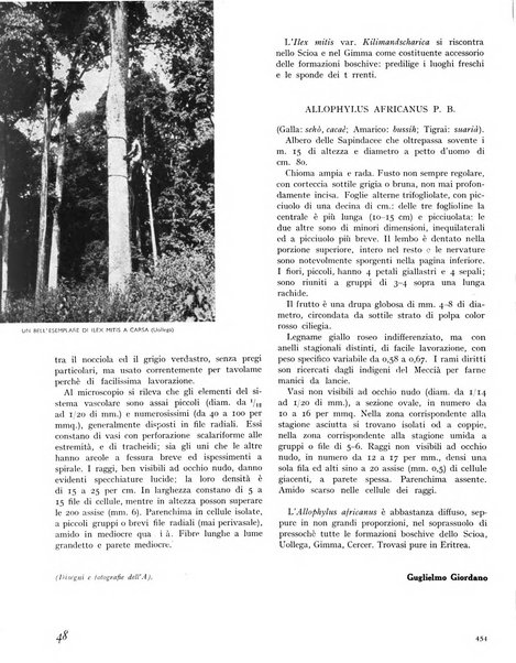 La rivista forestale italiana