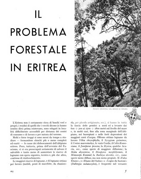 La rivista forestale italiana