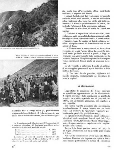 La rivista forestale italiana