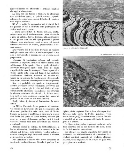 La rivista forestale italiana