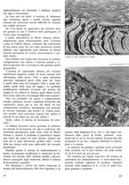 giornale/TO00194294/1939/unico/00000513