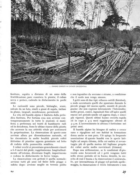 La rivista forestale italiana