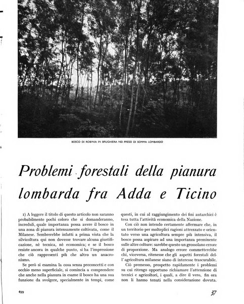 La rivista forestale italiana