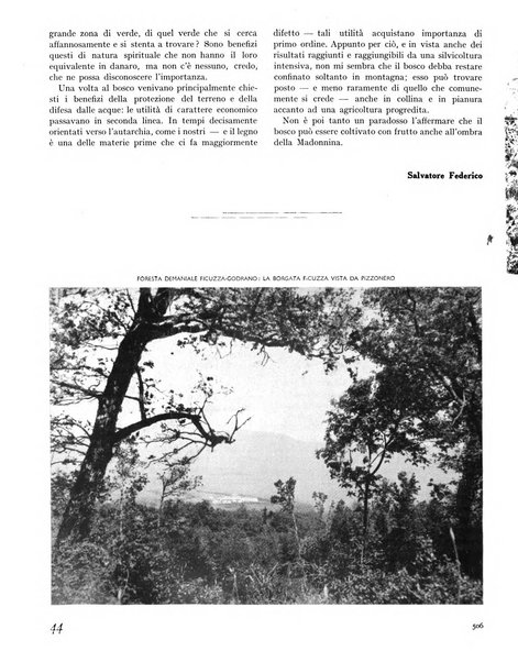 La rivista forestale italiana