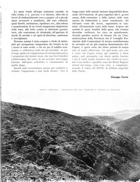 La rivista forestale italiana