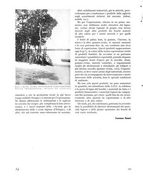 La rivista forestale italiana