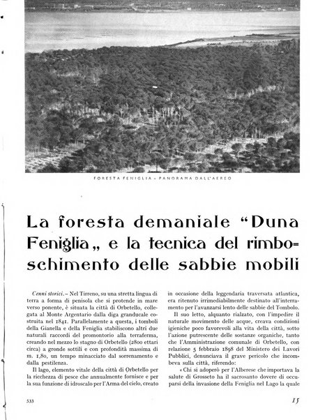 La rivista forestale italiana