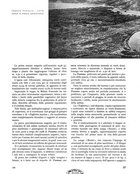 La rivista forestale italiana