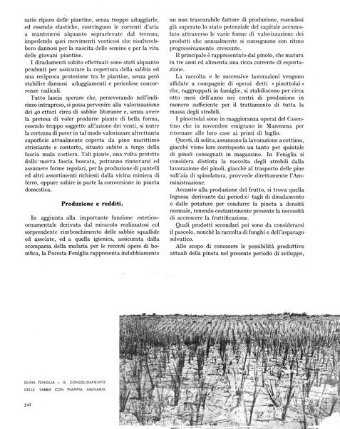 La rivista forestale italiana