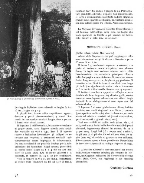 La rivista forestale italiana