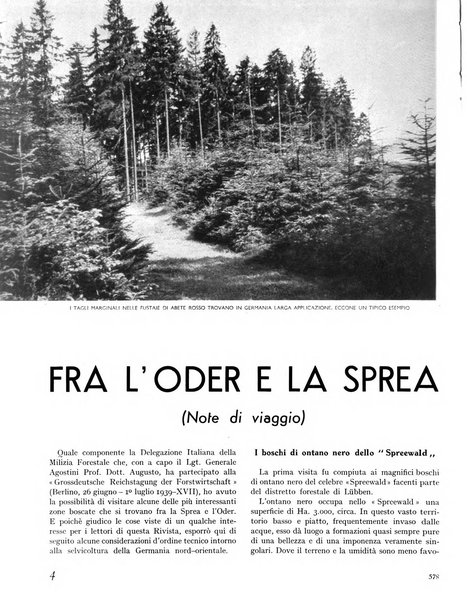 La rivista forestale italiana