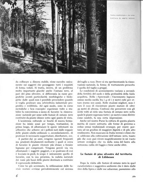 La rivista forestale italiana