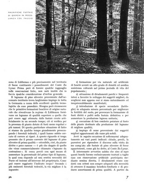 La rivista forestale italiana