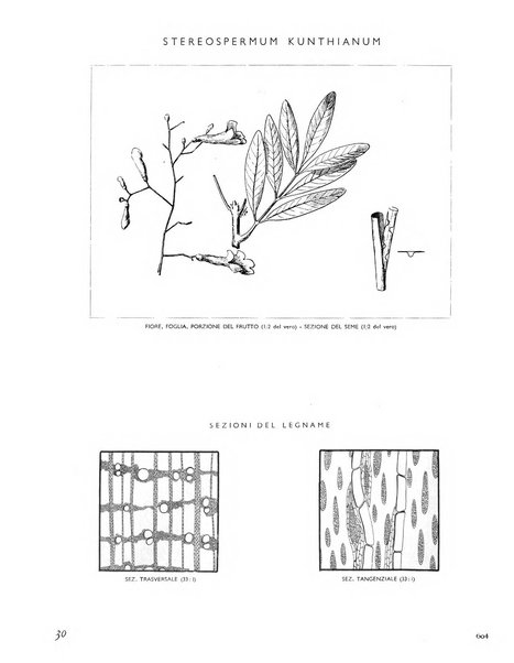 La rivista forestale italiana