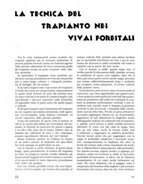 La rivista forestale italiana