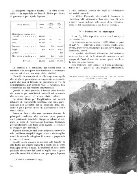 La rivista forestale italiana