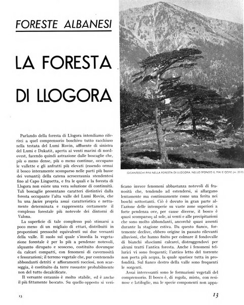 La rivista forestale italiana