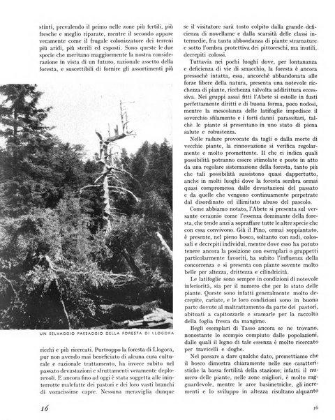 La rivista forestale italiana