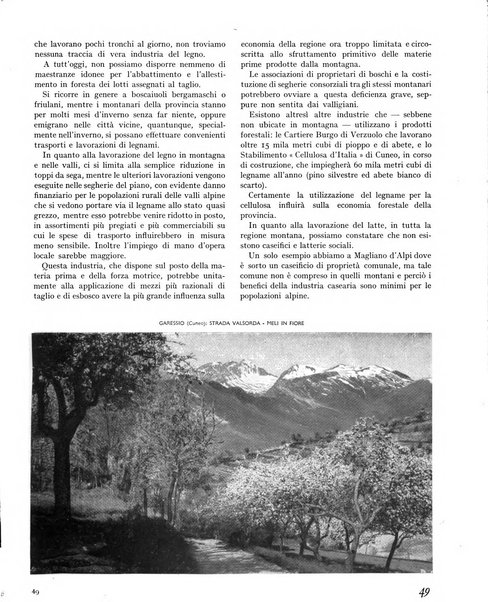 La rivista forestale italiana