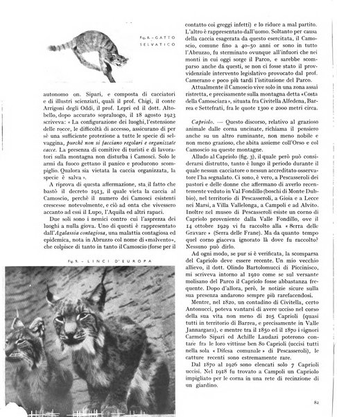 La rivista forestale italiana