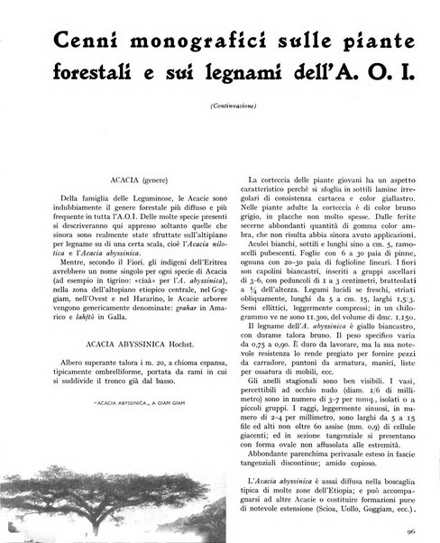 La rivista forestale italiana