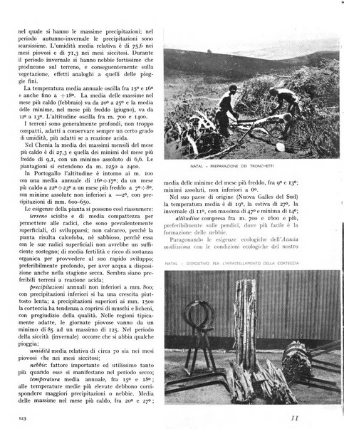 La rivista forestale italiana