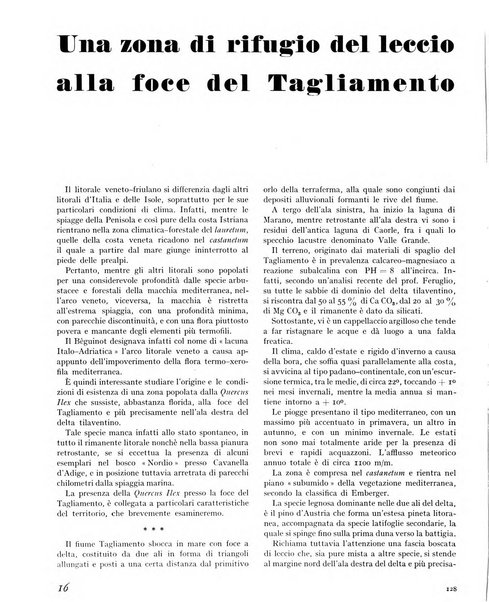 La rivista forestale italiana