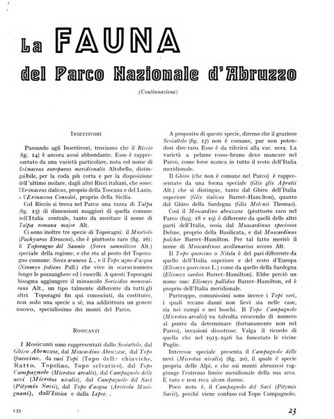 La rivista forestale italiana