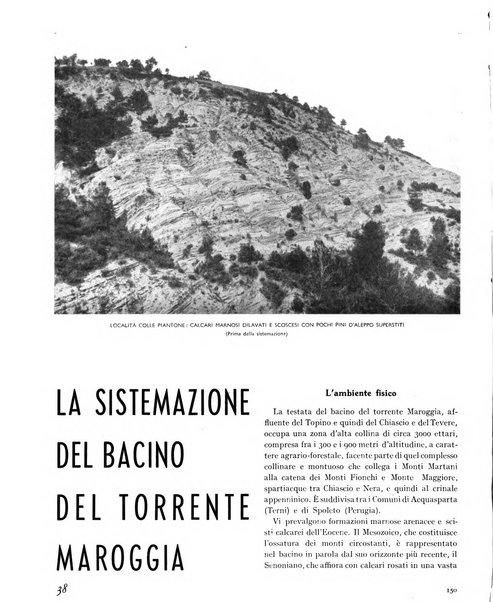 La rivista forestale italiana