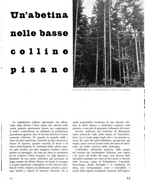 La rivista forestale italiana