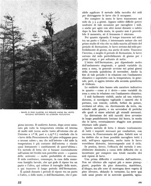 La rivista forestale italiana