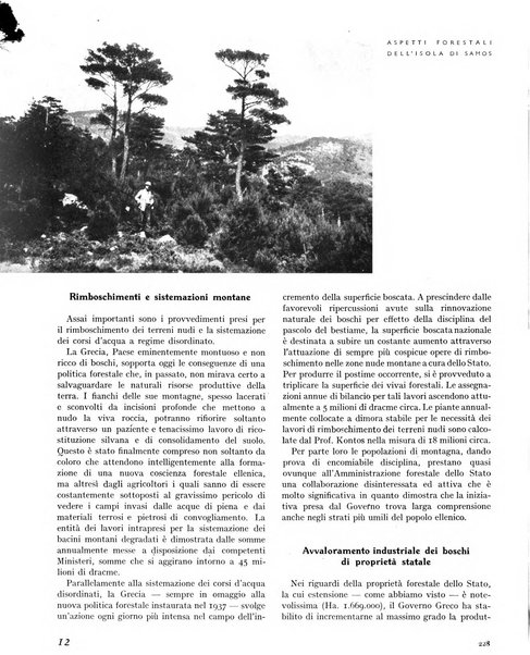 La rivista forestale italiana