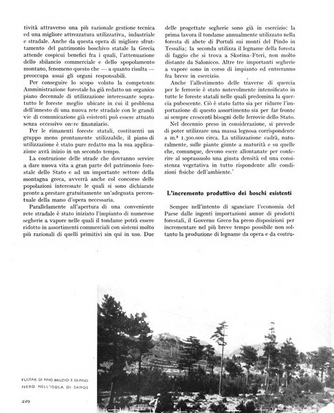 La rivista forestale italiana