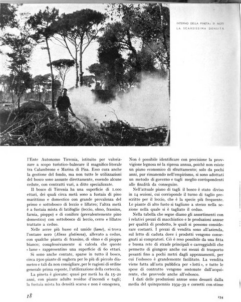 La rivista forestale italiana