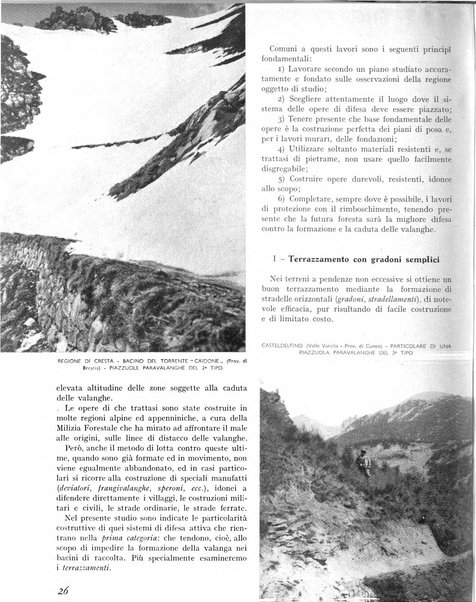 La rivista forestale italiana