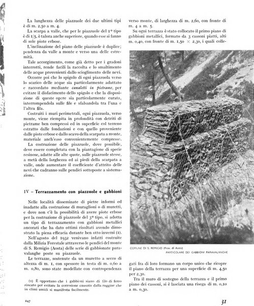 La rivista forestale italiana