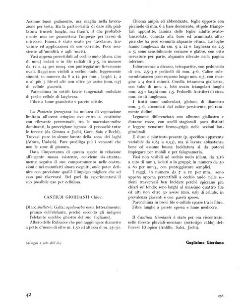 La rivista forestale italiana