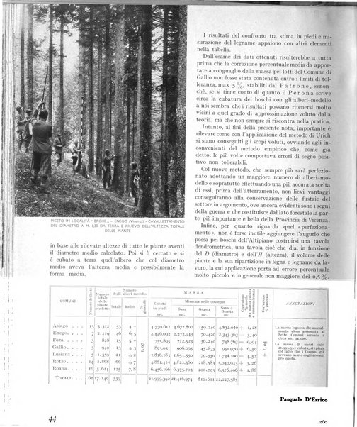 La rivista forestale italiana