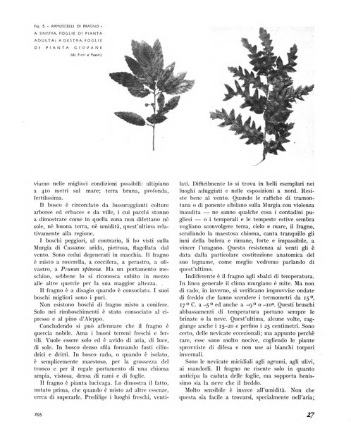 La rivista forestale italiana