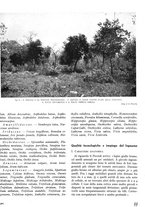 giornale/TO00194294/1940/unico/00000317