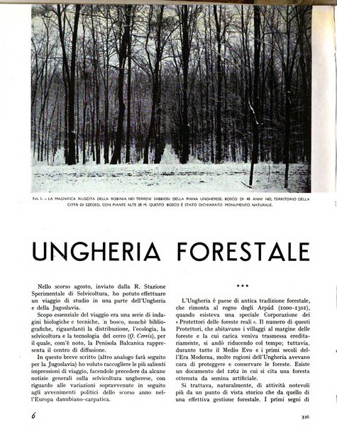 La rivista forestale italiana