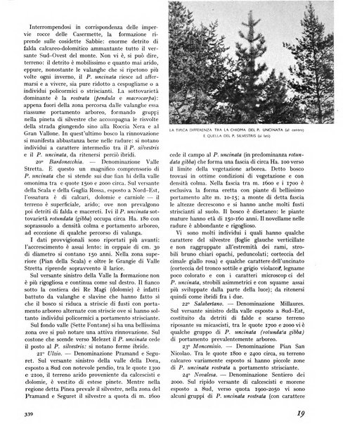 La rivista forestale italiana