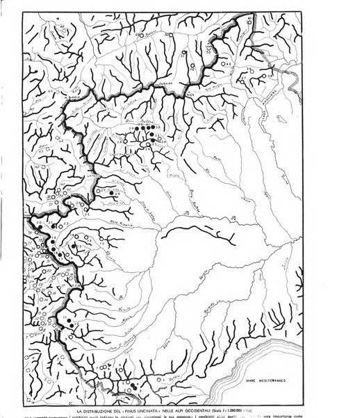 La rivista forestale italiana